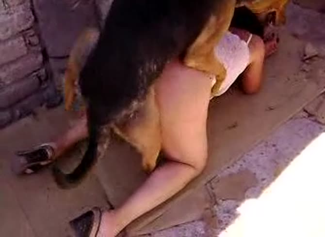 Video :Big dog dick banging a young lady's pussy